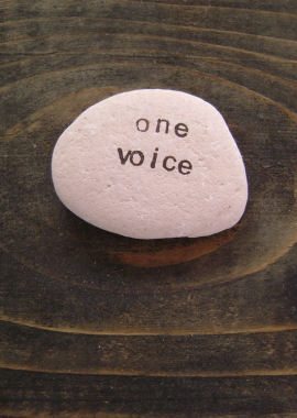 One Interface, One Voice